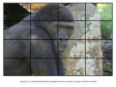 Puzzle-Gorilla-1.pdf